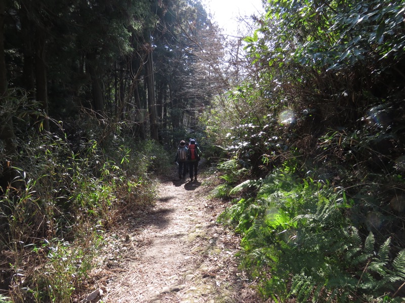 三浦アルプス登山