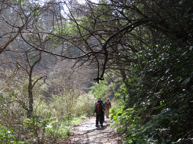 三浦アルプス登山