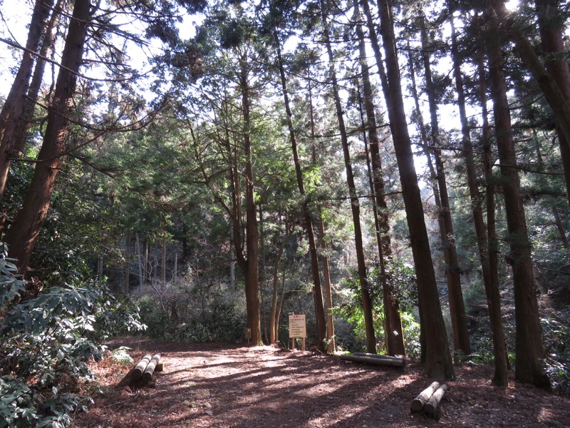 三浦アルプス登山