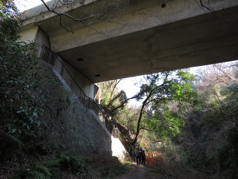 三浦アルプス登山