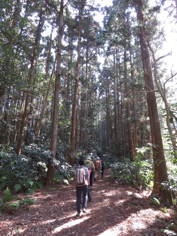 三浦アルプス登山