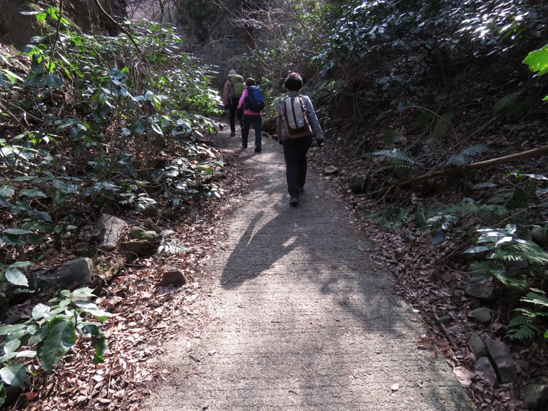 三浦アルプス登山