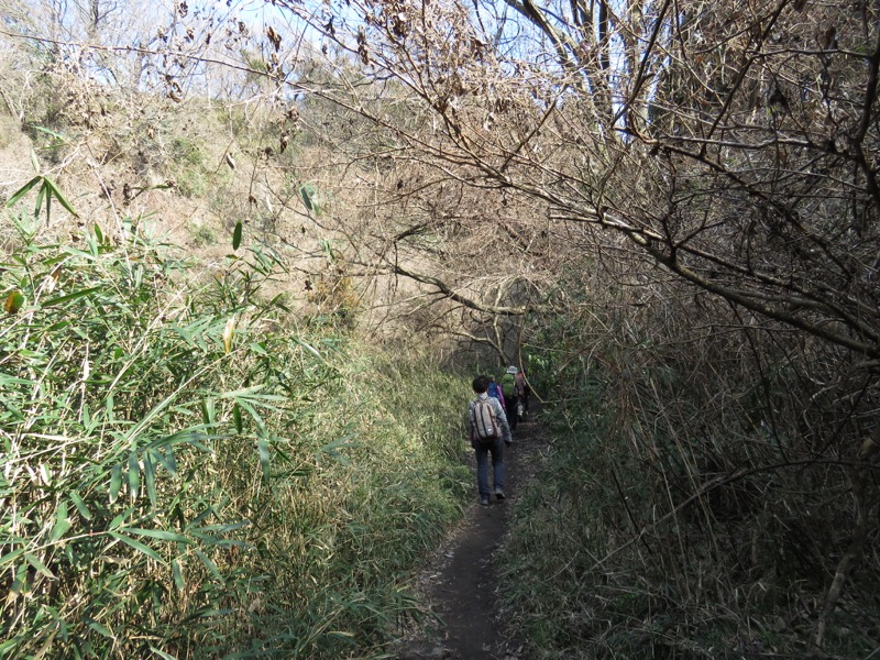 三浦アルプス登山