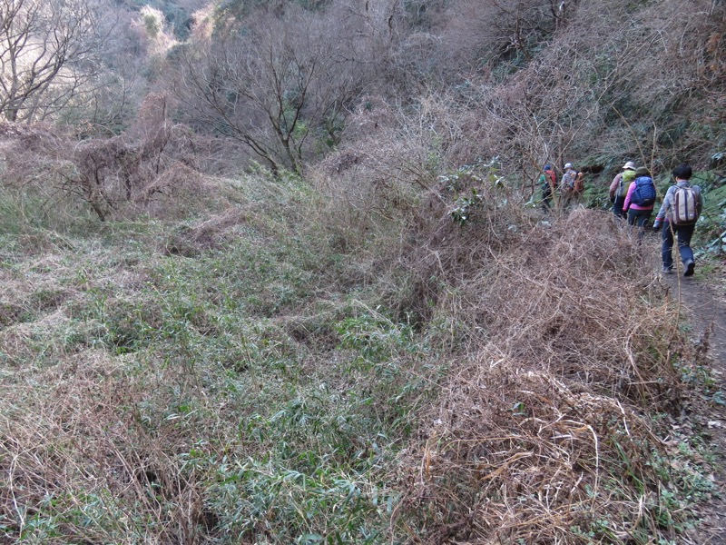 三浦アルプス登山