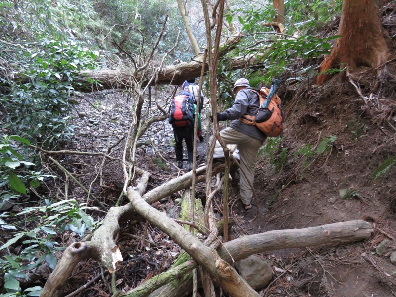 三浦アルプス登山