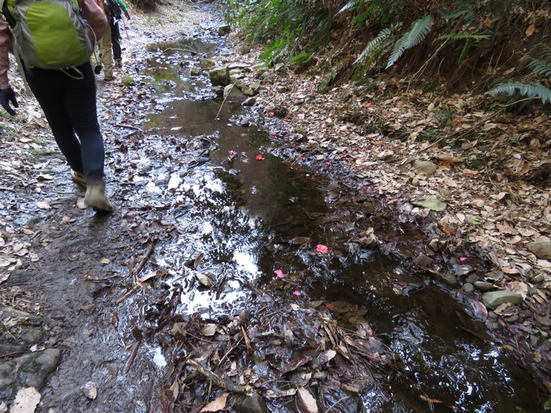 三浦アルプス登山