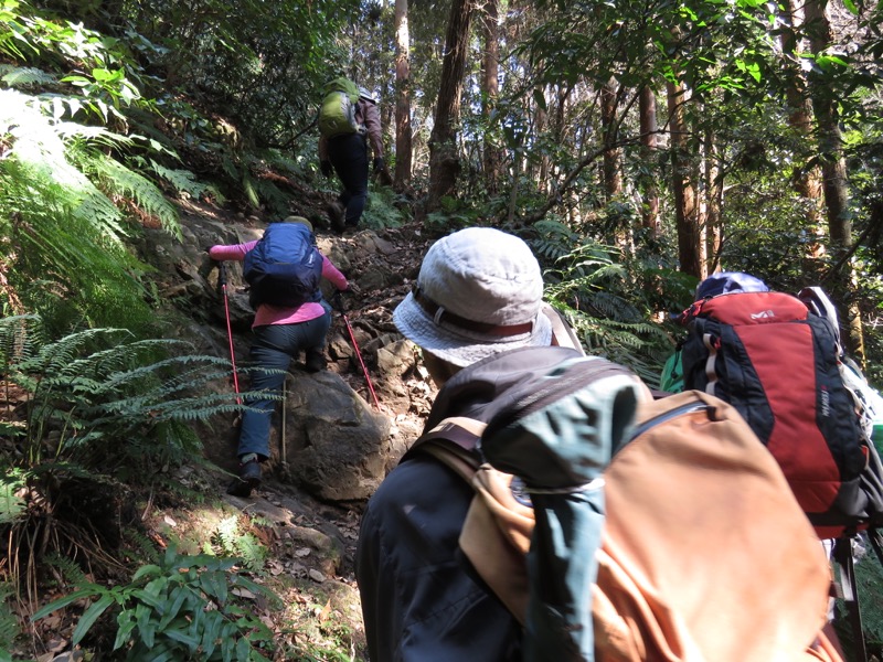 三浦アルプス登山