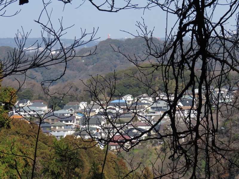 三浦アルプス登山