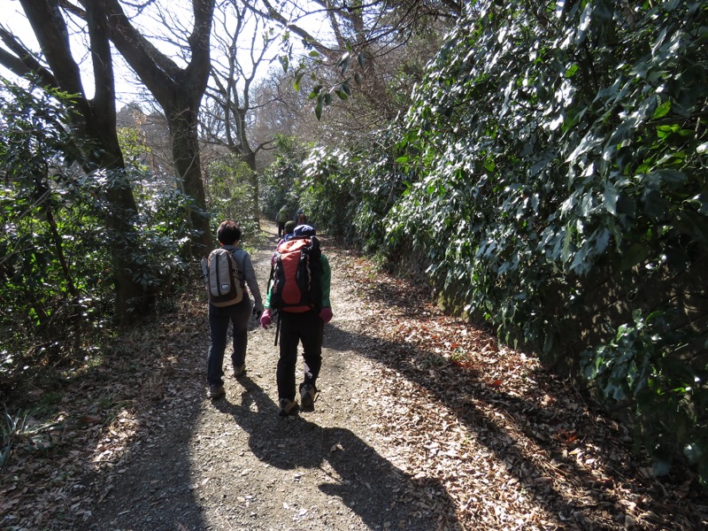 三浦アルプス登山