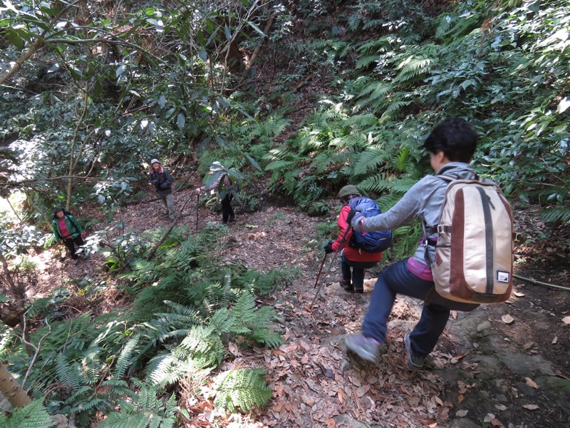 三浦アルプス登山