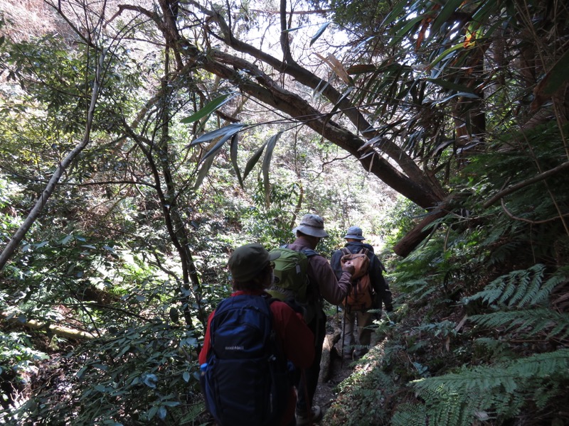 三浦アルプス登山