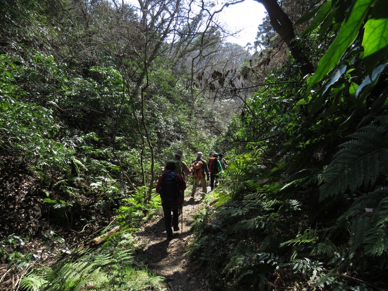 三浦アルプス登山