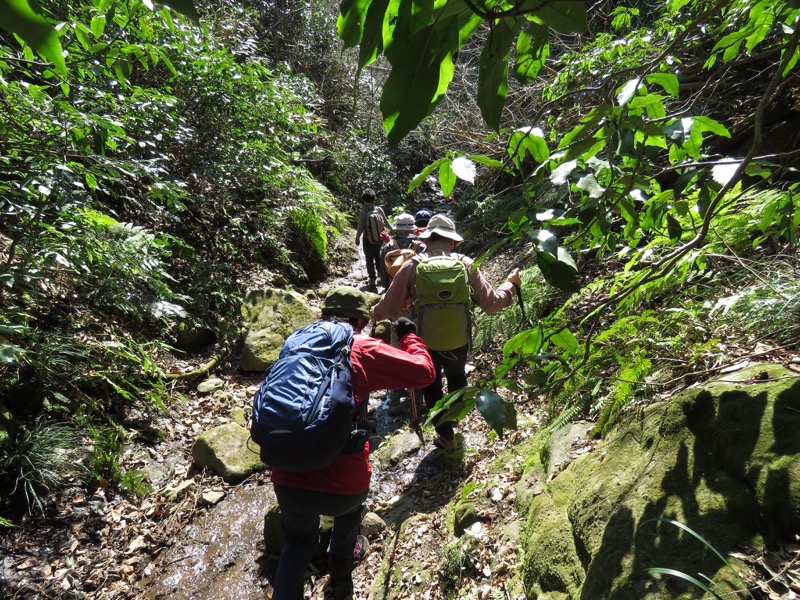 三浦アルプス登山