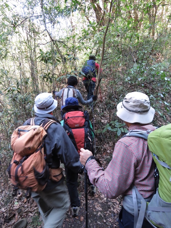 三浦アルプス登山