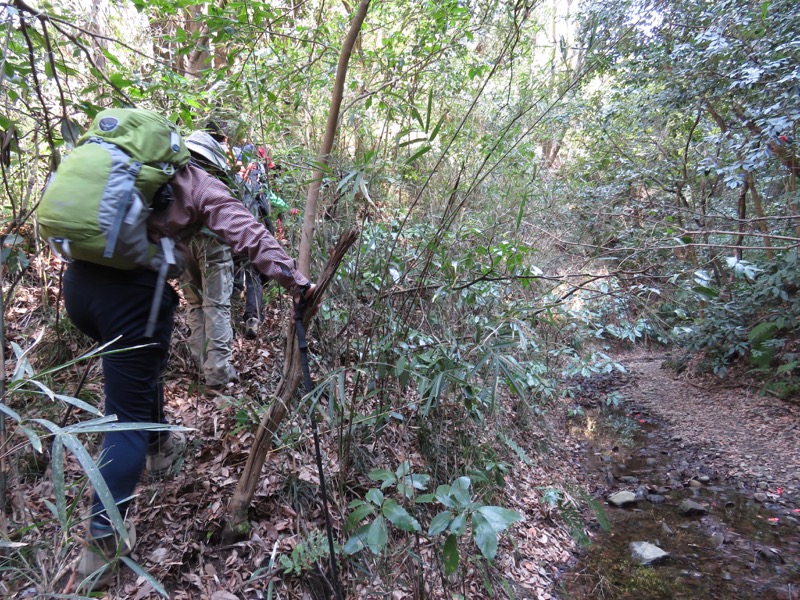 三浦アルプス登山