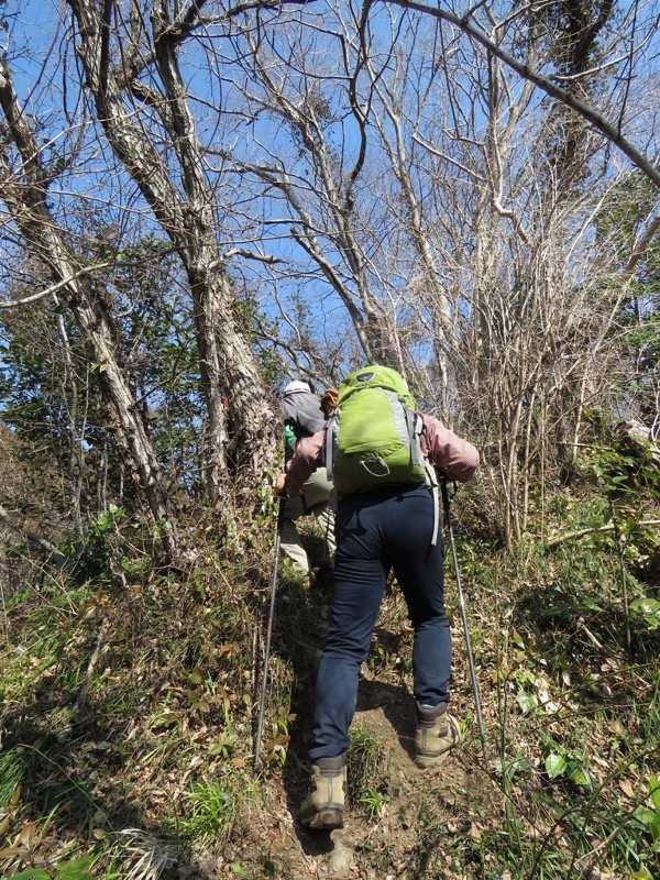 三浦アルプス登山