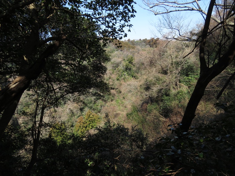 三浦アルプス登山