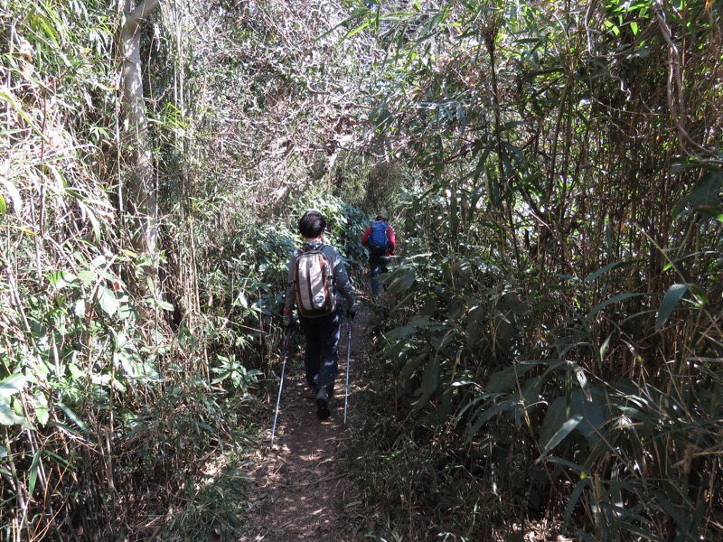 三浦アルプス登山