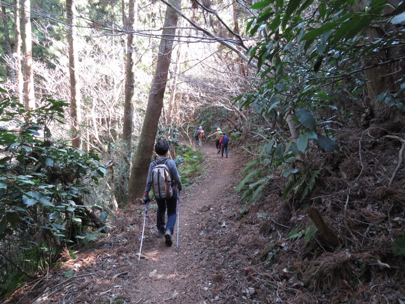 三浦アルプス登山