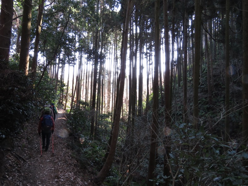 三浦アルプス登山