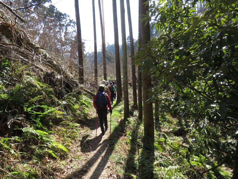 三浦アルプス登山