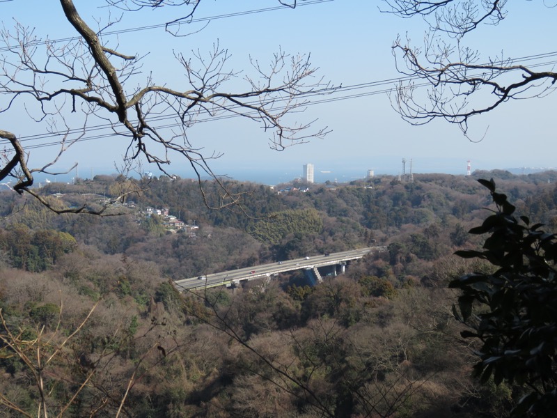 三浦アルプス登山