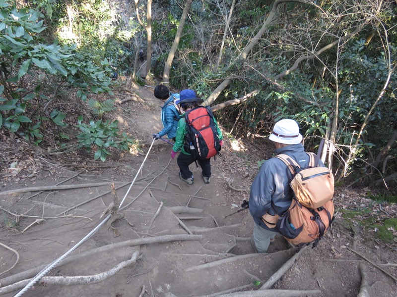 三浦アルプス登山