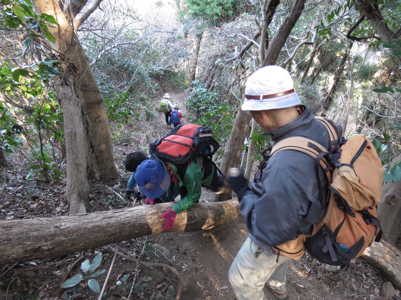 三浦アルプス登山