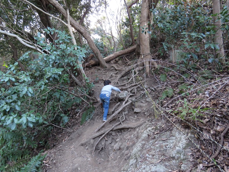 三浦アルプス登山