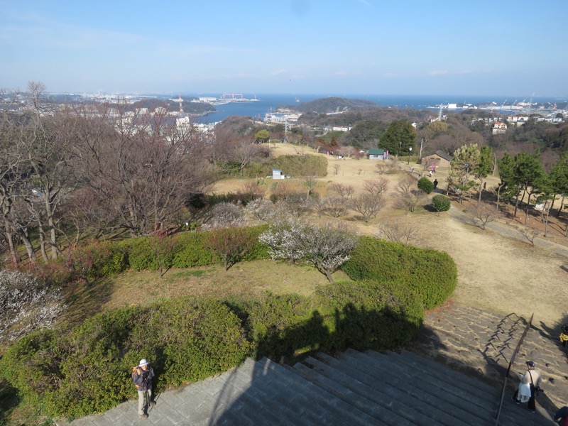 三浦アルプス登山