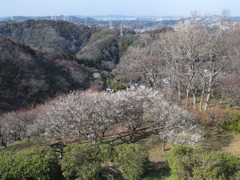 三浦アルプス登山