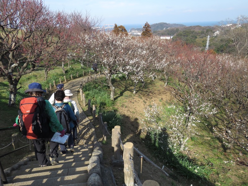 三浦アルプス登山