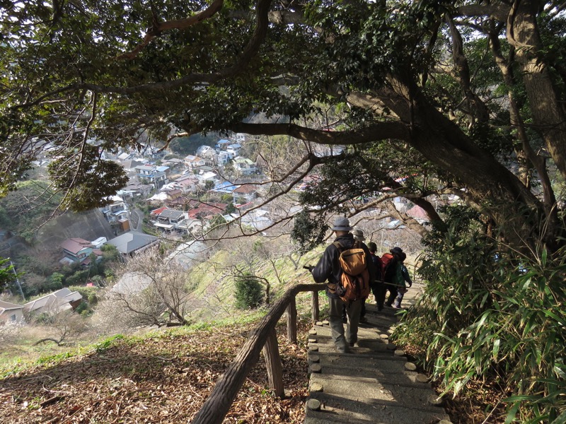 三浦アルプス登山