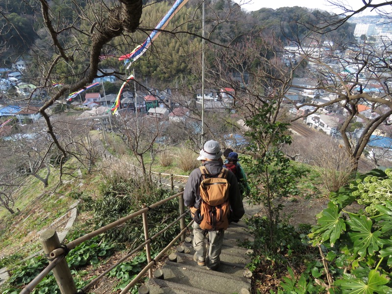 三浦アルプス登山