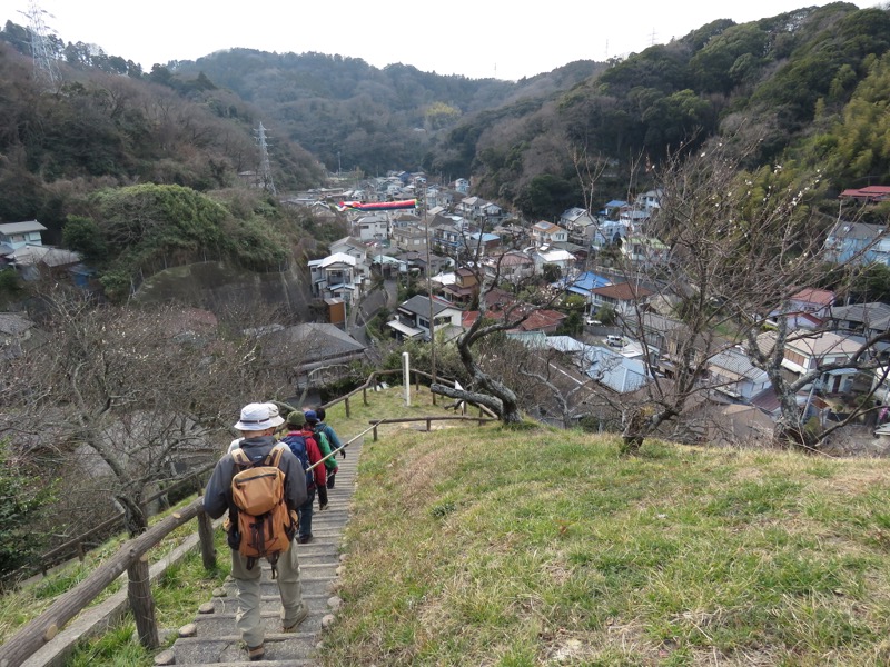 三浦アルプス登山