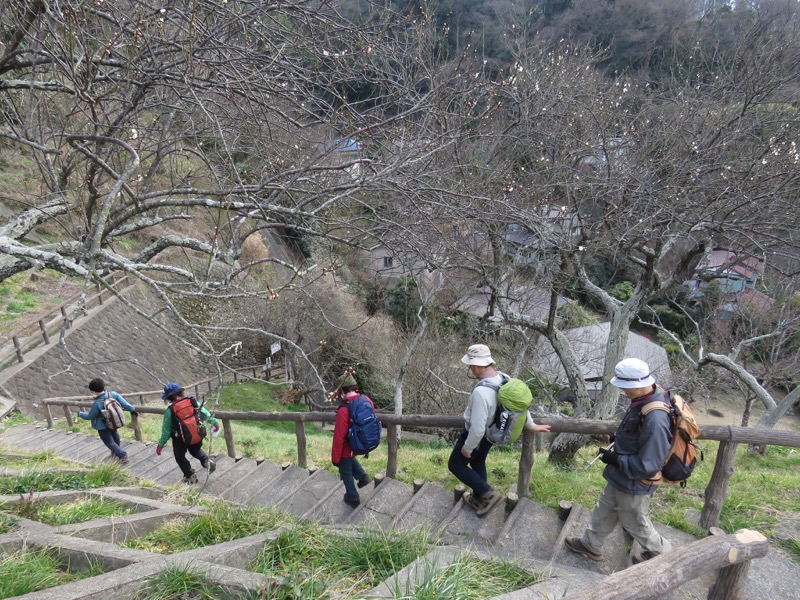 三浦アルプス登山