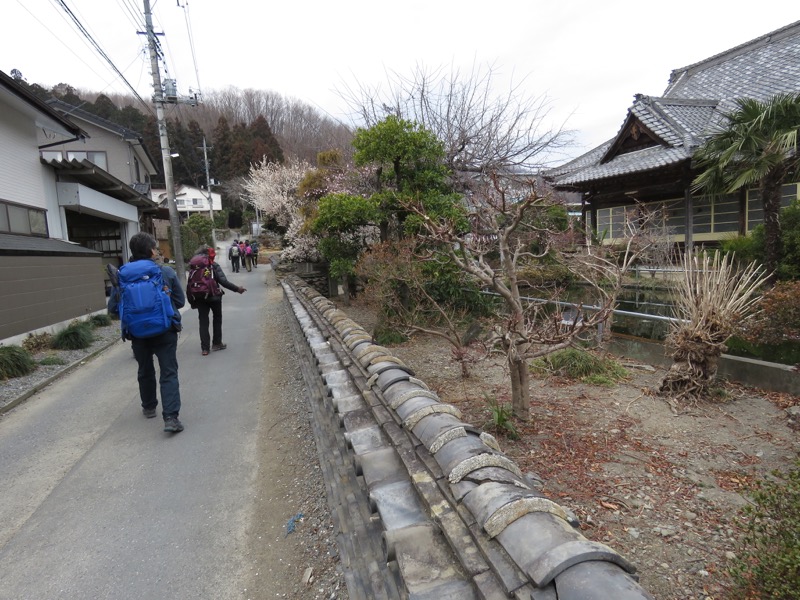 長瀞アルプス、宝登山登山