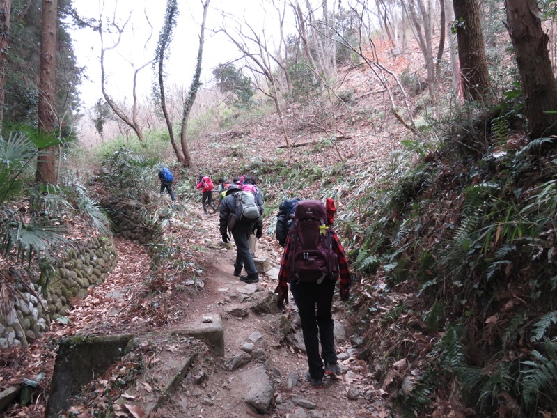 長瀞アルプス、宝登山登山