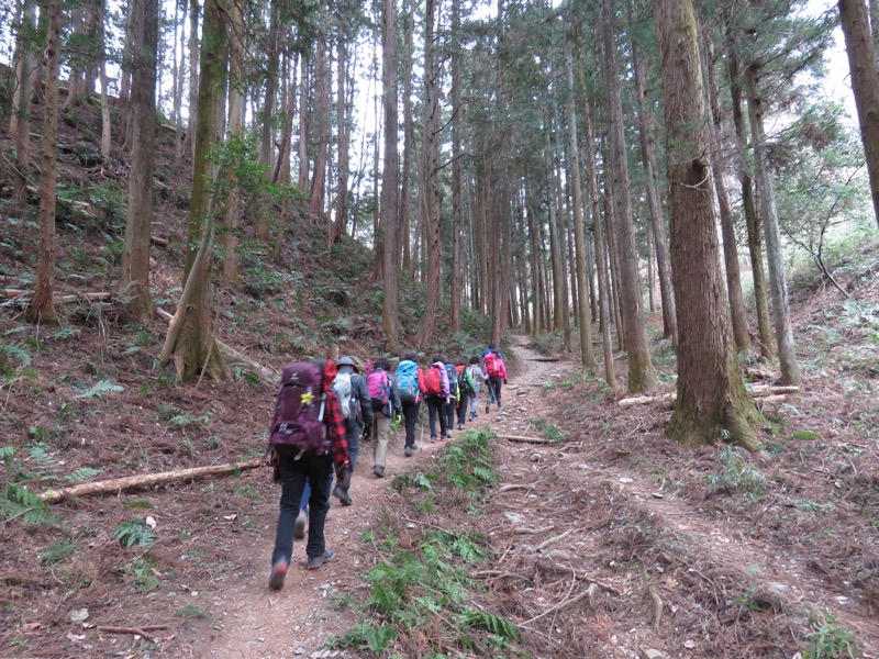 長瀞アルプス、宝登山登山