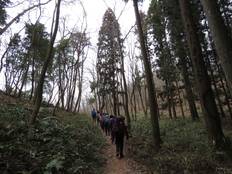 長瀞アルプス、宝登山登山