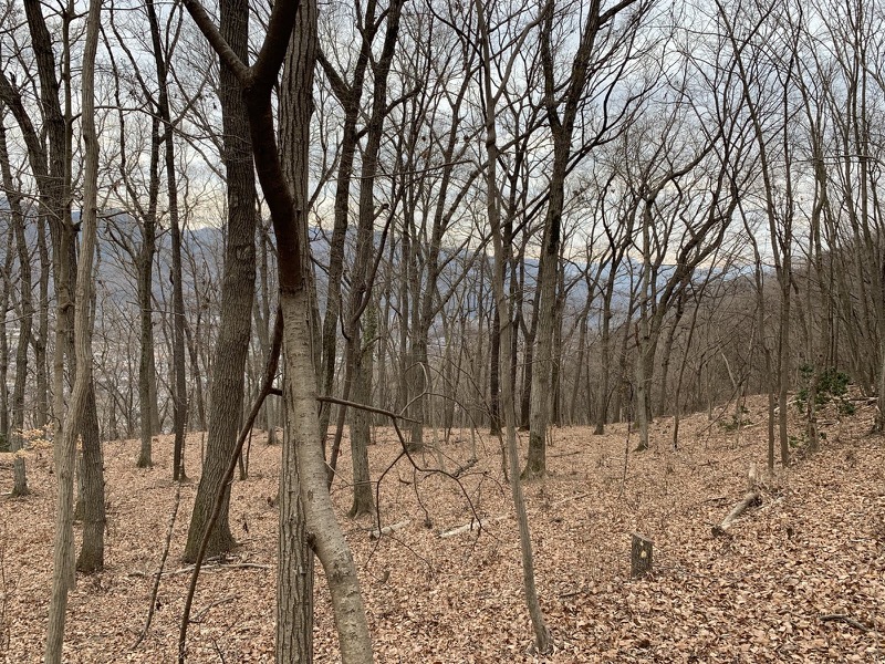 長瀞アルプス、宝登山登山