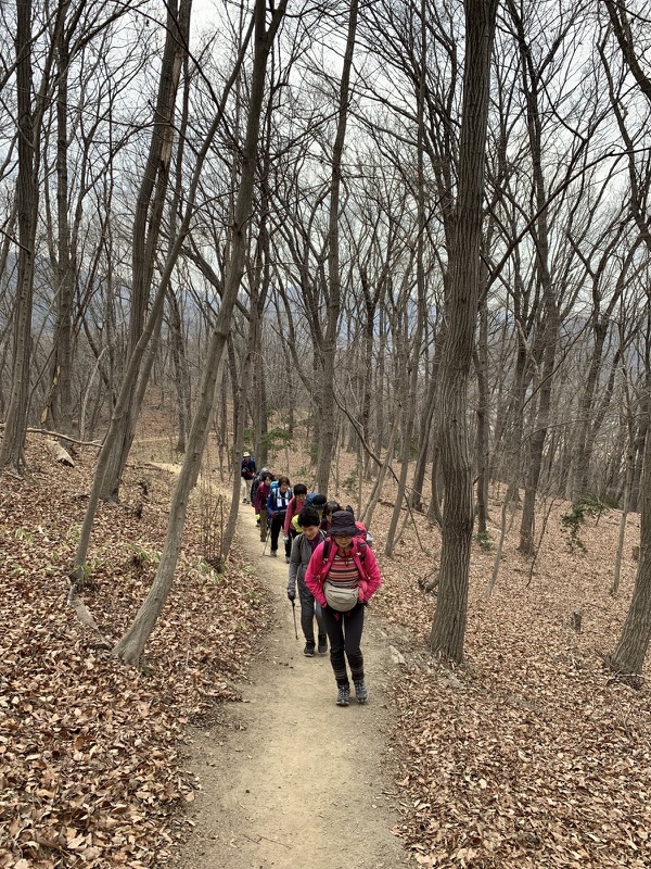 長瀞アルプス、宝登山登山