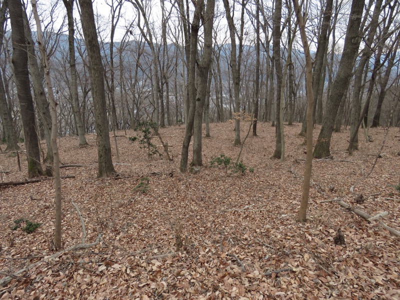 長瀞アルプス、宝登山登山