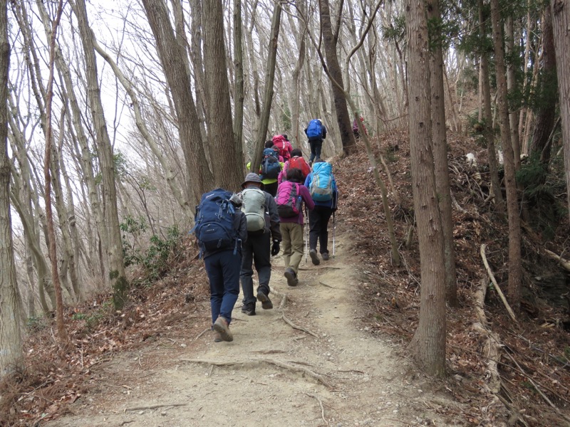 長瀞アルプス、宝登山登山