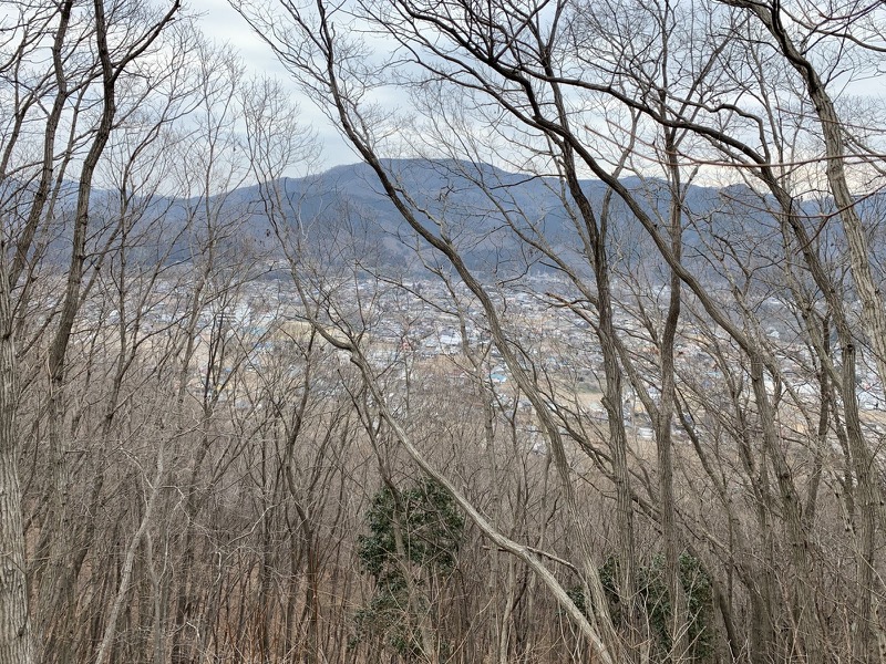 長瀞アルプス、宝登山登山