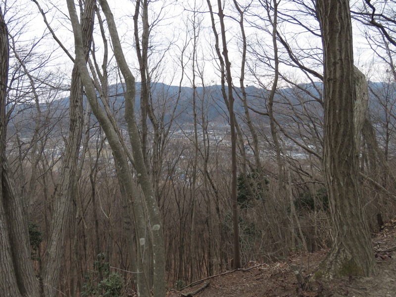 長瀞アルプス、宝登山登山