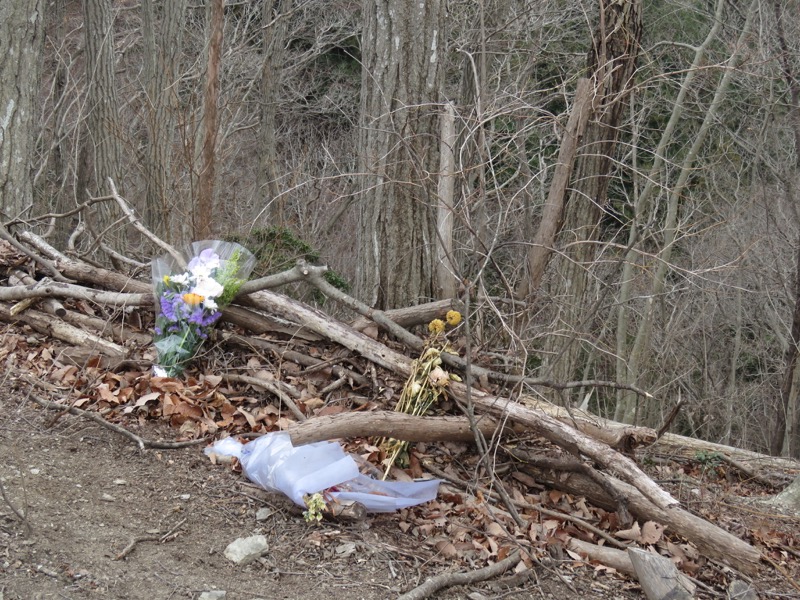 長瀞アルプス、宝登山登山