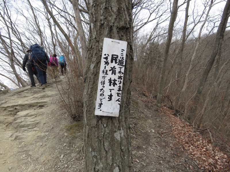 長瀞アルプス、宝登山登山