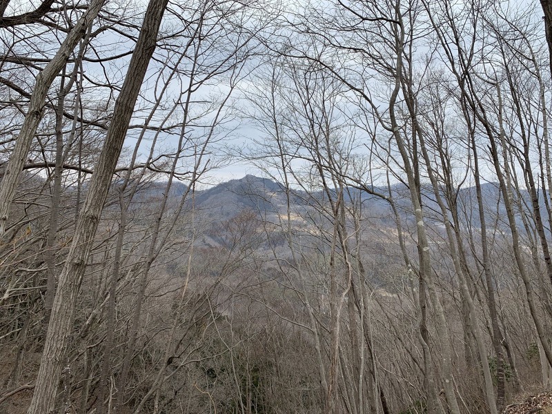 長瀞アルプス、宝登山登山