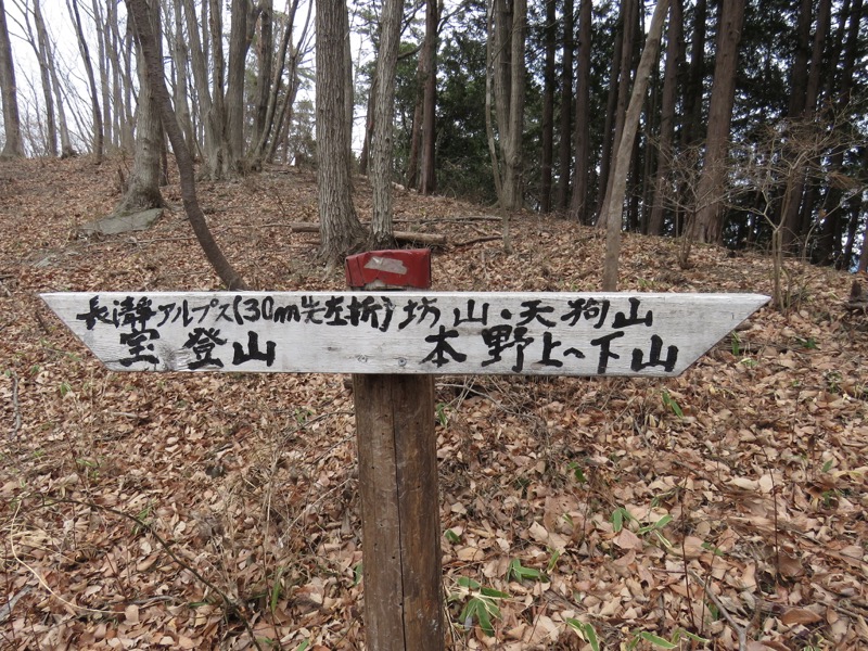 長瀞アルプス、宝登山登山